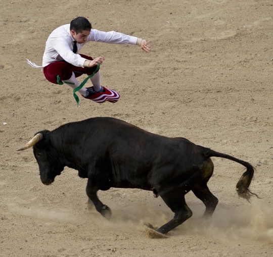 Aksi memukau para matador lompati banteng ganas di Recortadores