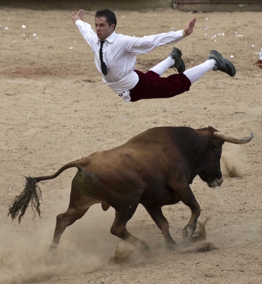 Aksi memukau para matador lompati banteng ganas di Recortadores