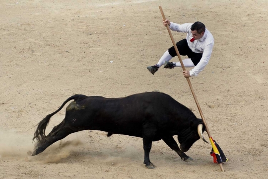 Aksi memukau para matador lompati banteng ganas di Recortadores
