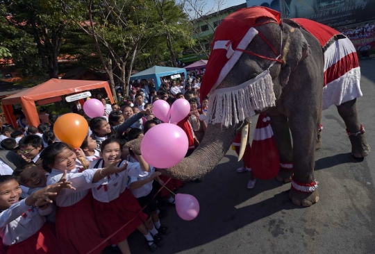 Aksi lucu gajah Sinterklas hibur anak-anak di Thailand