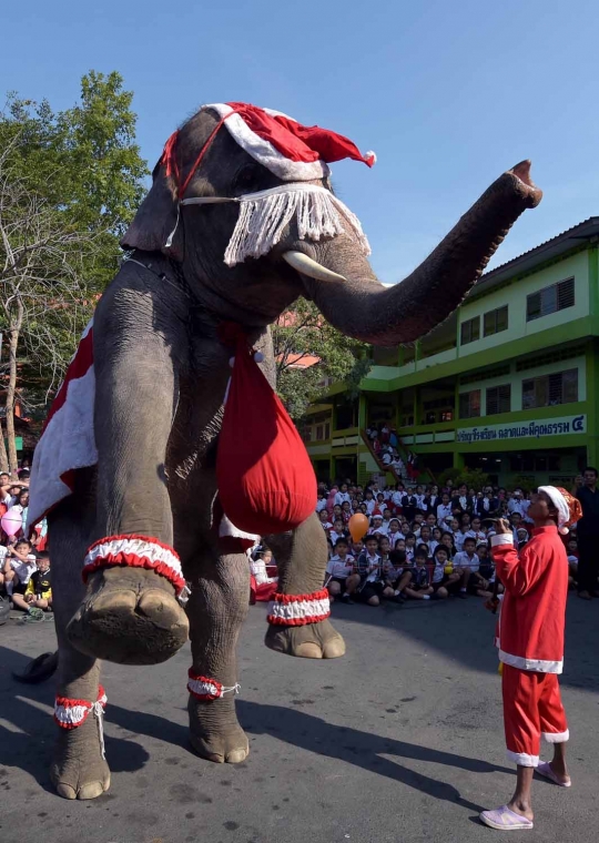 Aksi lucu gajah Sinterklas hibur anak-anak di Thailand