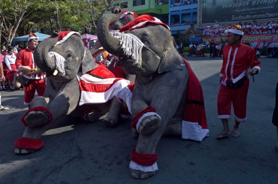 Aksi lucu gajah Sinterklas hibur anak-anak di Thailand