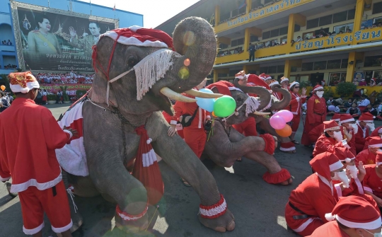 Aksi lucu gajah Sinterklas hibur anak-anak di Thailand