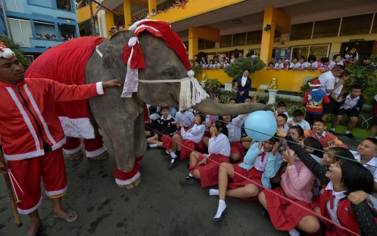 Aksi lucu gajah Sinterklas hibur anak-anak di Thailand