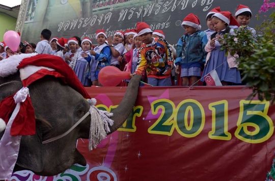 Aksi lucu gajah Sinterklas hibur anak-anak di Thailand