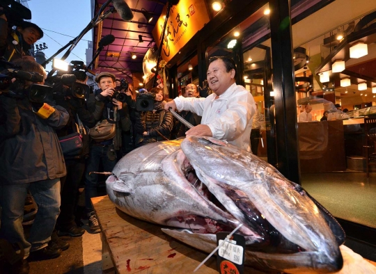 Bos restoran sushi di Tokyo ini beli tuna Bluefin Rp 468 juta