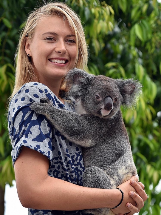 Gaya si cantik Maria Sharapova main bersama koala di Brisbane