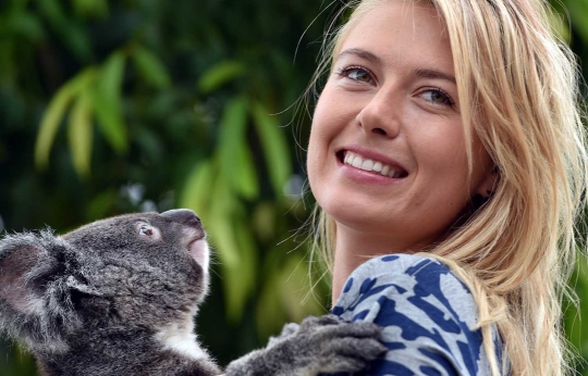 Gaya si cantik Maria Sharapova main bersama koala di Brisbane