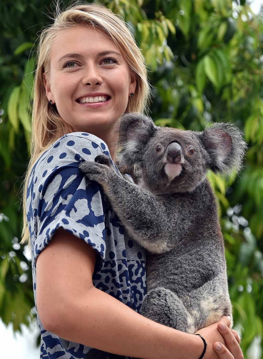 Gaya si cantik Maria Sharapova main bersama koala di Brisbane