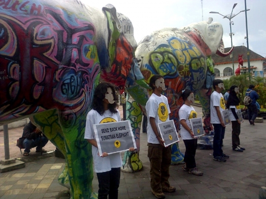 Animals Indonesia minta dua gajah Gembira Loka dilepas ke alam