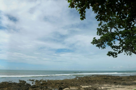 Menjelajahi keeksotisan pantai wisata di pesisir Garut