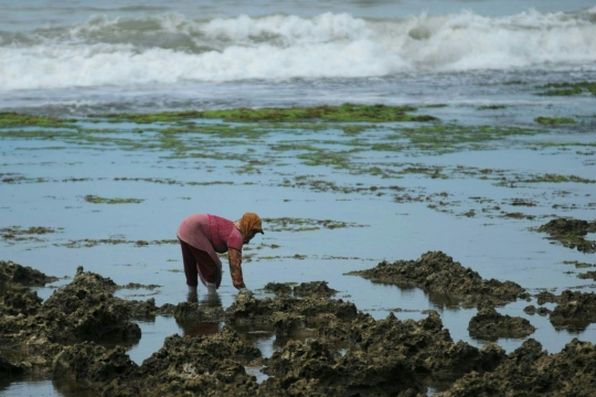 Menjelajahi keeksotisan pantai wisata di pesisir Garut