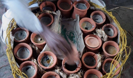 Menengok pembuatan Jaggery, minuman alkohol dari kurma khas India