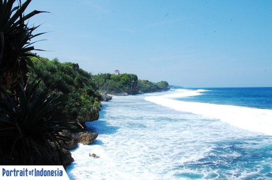 Pesona Pantai Kukup yang eksotis