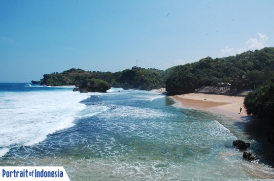 Pesona Pantai Kukup yang eksotis