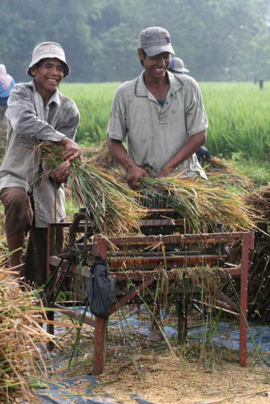 Nasib petani di Kediri kehilangan ratusan hektare lahan produktif