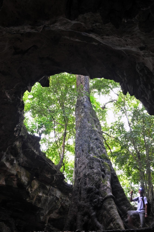 Menjelajahi Gua Rancang Kencana di Gunung Kidul