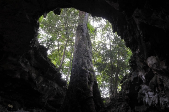 Menjelajahi Gua Rancang Kencana di Gunung Kidul