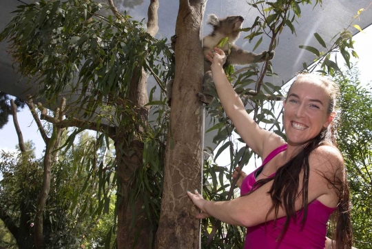 Keceriaan petenis cantik Madison Brengle beri makan kanguru