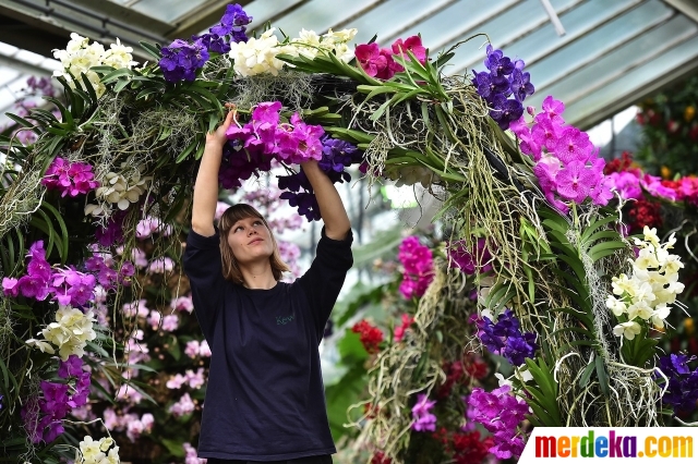 Foto : Indahnya tanaman anggrek di Kebun Raya Kerajaan 