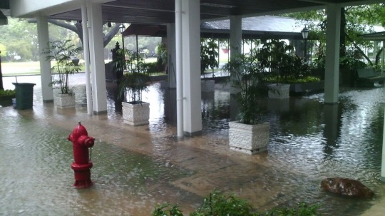 Kompleks Istana Kepresidenan kebanjiran