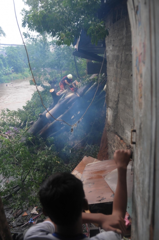 Petugas pemadam evakuasi pohon yang timpa 4 rumah warga di Ciliwung