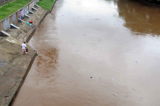 Memantau permukaan air Sungai Ciliwung yang terus meningkat