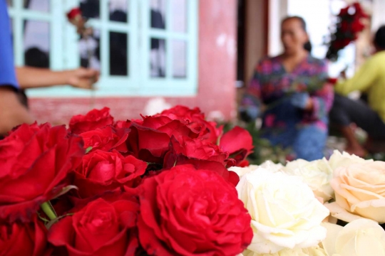 Berkah Hari Valentine bagi petani bunga mawar