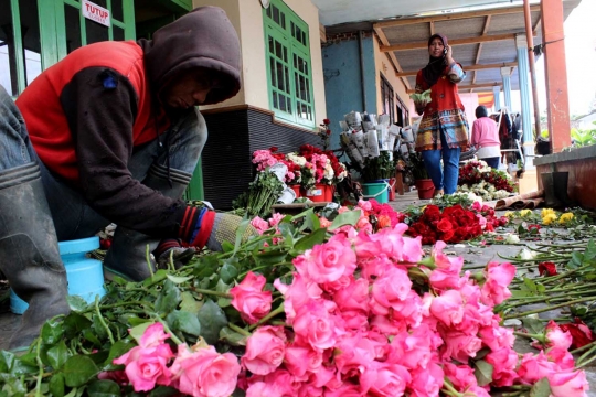 Berkah Hari Valentine bagi petani bunga mawar