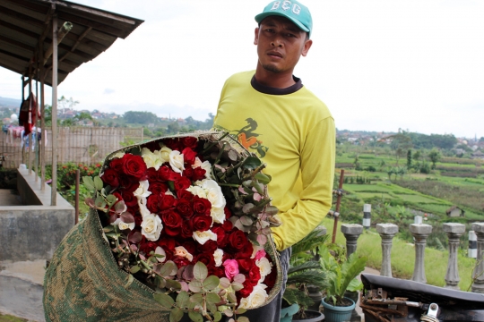 Berkah Hari Valentine bagi petani bunga mawar
