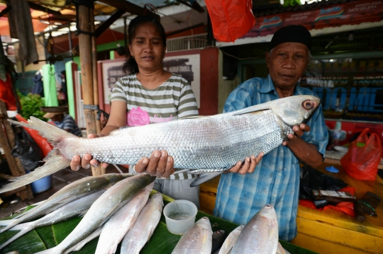 Jelang Imlek, ikan bandeng Pasar Bunga Rawa Belong ramai diburu