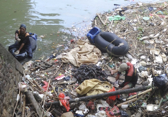 Potret penangkapan ikan sapu-sapu untuk siomay di Kali Ciliwung