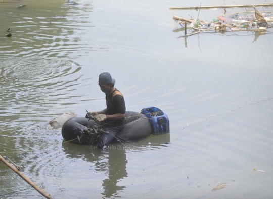 Potret penangkapan ikan sapu-sapu untuk siomay di Kali Ciliwung