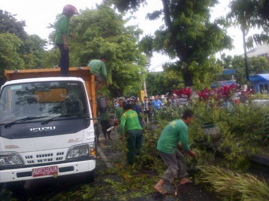 Pohon tumbang yang tewaskan satu warga di Yogya dievakuasi