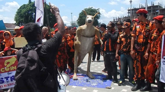 Kecam Australia, Pemuda Pancasila Purwokerto bakar kanguru