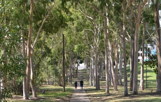 Ini lokasi wanita India ditikam hingga tewas di Taman Sydney