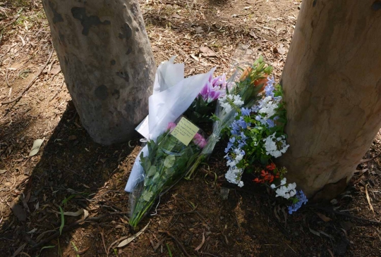 Ini lokasi wanita India ditikam hingga tewas di Taman Sydney