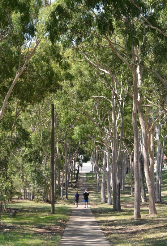 Ini lokasi wanita India ditikam hingga tewas di Taman Sydney