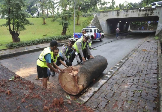 Polisi dan petugas Dinas Pertamanan singkirkan pohon tumbang bersama