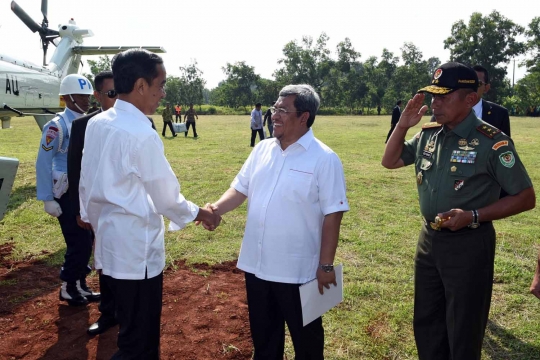 Presiden Jokowi ikut petani memanen padi di Indramayu