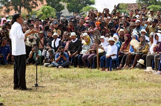 Presiden Jokowi ikut petani memanen padi di Indramayu