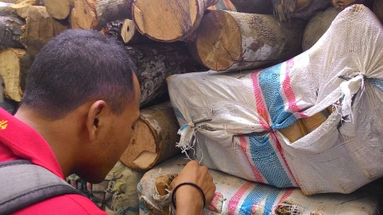 Polisi Aceh gagalkan pengiriman 4,8 ton ganja bermodus batang kayu