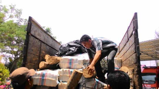 Polisi Aceh gagalkan pengiriman 4,8 ton ganja bermodus batang kayu