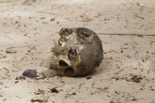 Tragis, ratusan mayat korban Boko Haram ditemukan tinggal tulang