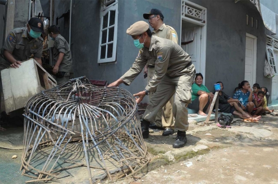 Cegah Flu Burung, petugas Sudin KPKP swiping unggas di Menteng