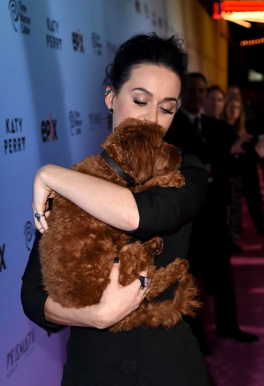 Katy Perry dengan 'Butters' anjing lucunya