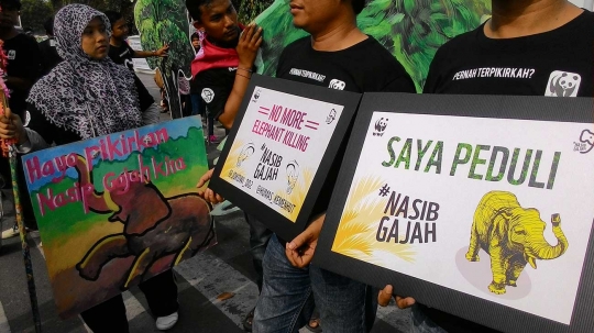 Aksi aktivis Earth Hour ajak warga Aceh selamatkan gajah Sumatera