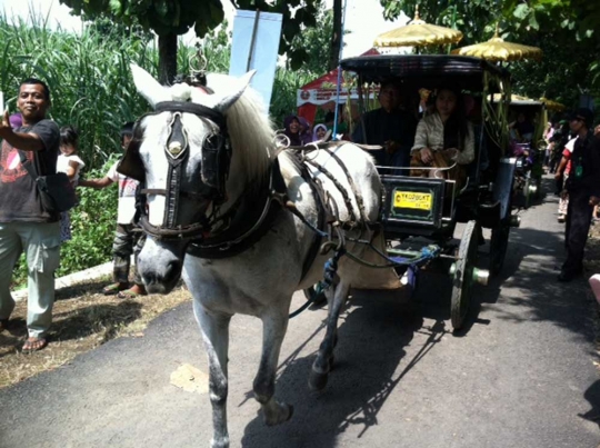 Nikah Bareng Jogja Istimewa, pasangan pengantin diarak traktor sawah