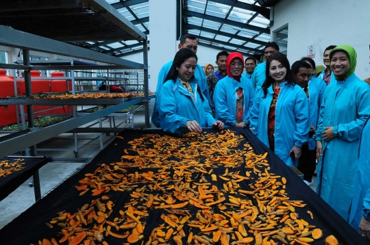 Melihat proses pengolahan jamu tradisional Tawangmangu