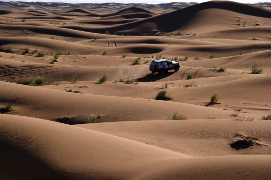 Aksi heroik para wanita bersaing dalam balap offroad di Gurun Sahara